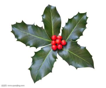 2021괺Ҫ ȫ